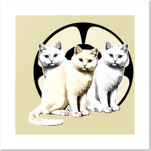 white and gray kittens Posters and Art